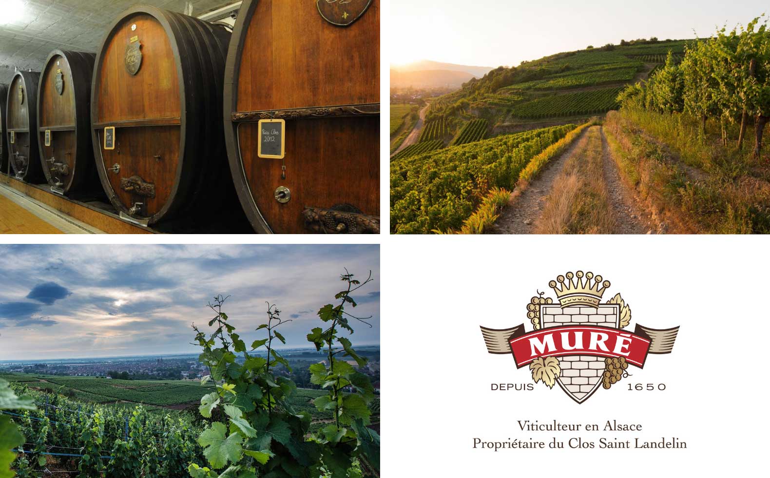 Domaine MURÉ
